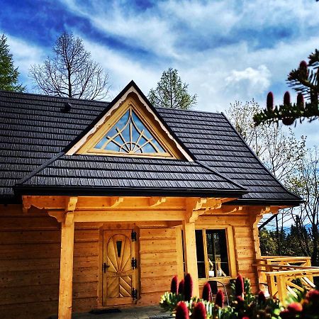 Villa Litworowy Dom Kościelisko Esterno foto